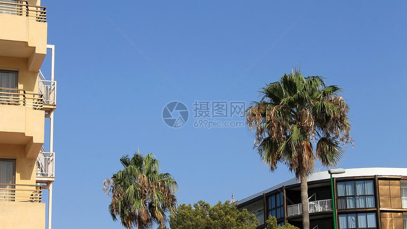 拓展训练课程定制流程